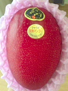 2014060901.JPG